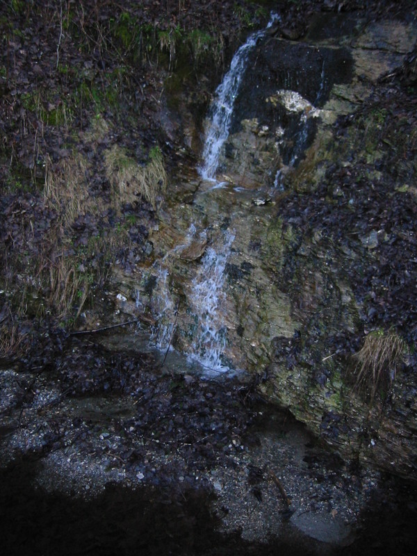 IMG_3368.JPG 