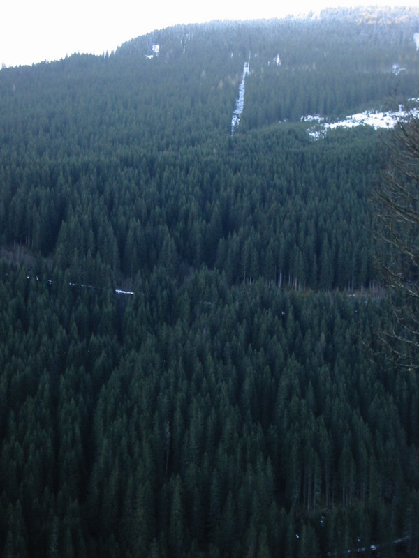 IMG_3374.JPG 