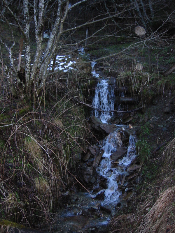 IMG_3384.JPG 