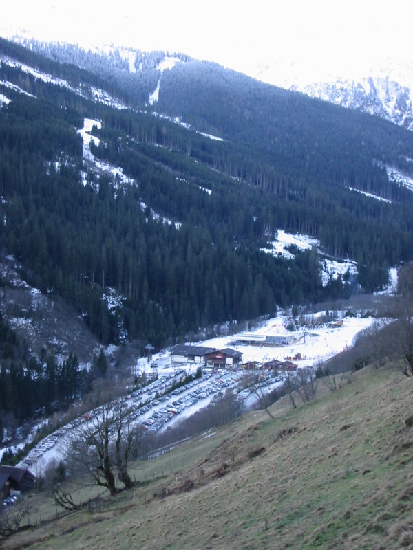 IMG_3387.JPG 