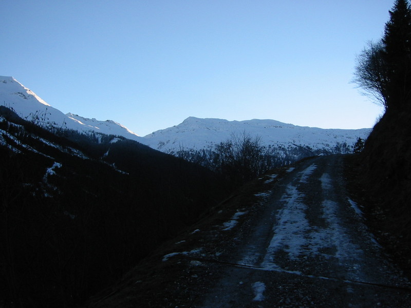 IMG_3394.JPG 