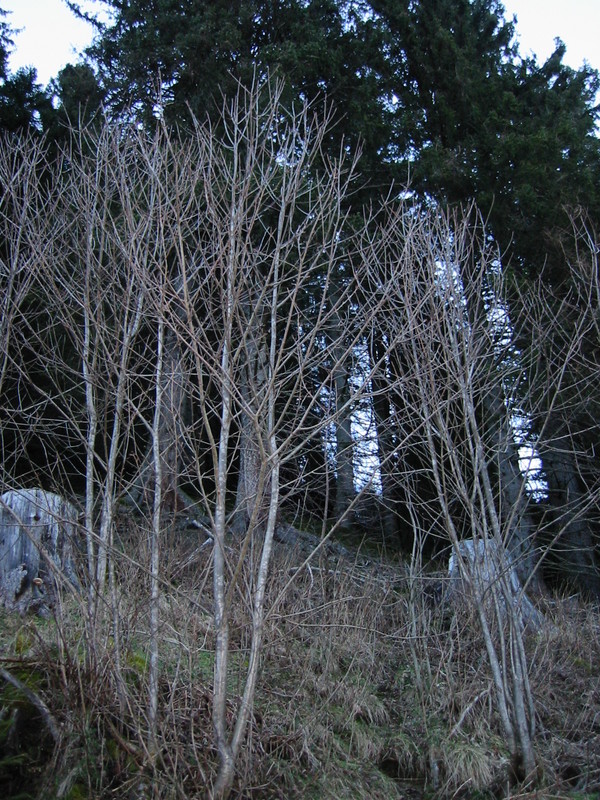 IMG_3400.JPG 