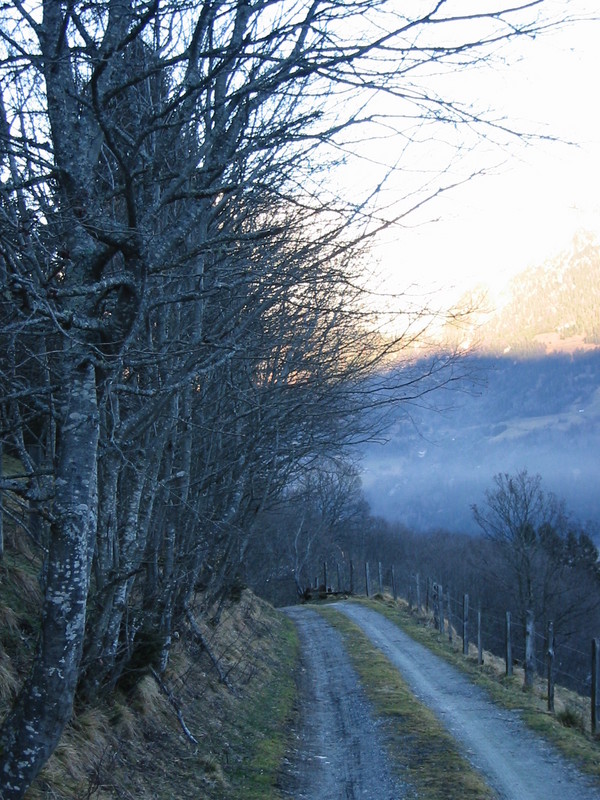 IMG_3427.JPG 