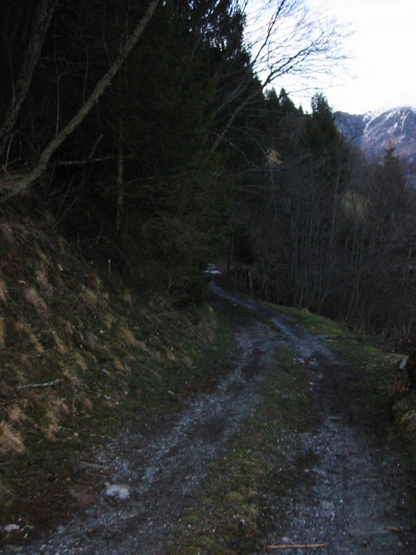IMG_3438.JPG 