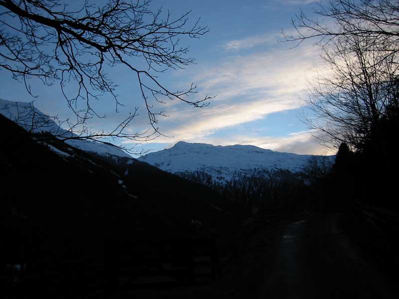 IMG_3439.JPG 