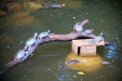 Thumbnail img_7374.jpg 