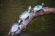 Thumbnail img_7376.jpg 
