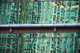 Thumbnail img_7381.jpg 