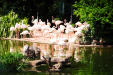 Thumbnail img_7439.jpg 