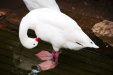 Thumbnail img_7440.jpg 