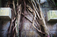 Thumbnail img_7452.jpg 