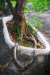 Thumbnail img_7454.jpg 