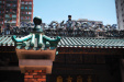 Thumbnail img_7467.jpg 