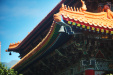 Thumbnail img_7496.jpg 
