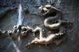 Thumbnail img_7504.jpg 