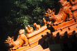 Thumbnail img_7512.jpg 