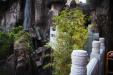 Thumbnail img_7546.jpg 