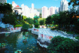 Thumbnail img_7552.jpg 
