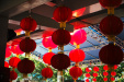 Thumbnail img_7579.jpg 