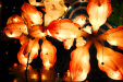 Thumbnail img_7906.jpg 