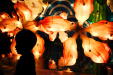Thumbnail img_7908.jpg 