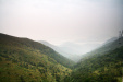Thumbnail img_7950.jpg 