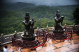 Thumbnail img_7984.jpg 