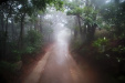Thumbnail img_8085.jpg 