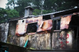 Thumbnail img_8107.jpg 