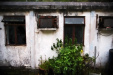 Thumbnail img_8117.jpg 