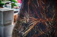 Thumbnail img_8170.jpg 