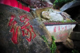 Thumbnail img_8333.jpg 