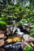 Thumbnail img_8378.jpg 