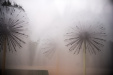 Thumbnail img_8392.jpg 