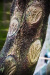 Thumbnail img_8402.jpg 