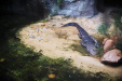 Thumbnail img_8403.jpg 