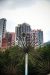 Thumbnail img_8407.jpg 