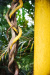 Thumbnail img_8408.jpg 