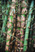 Thumbnail img_8410.jpg 