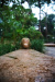 Thumbnail img_8411.jpg 