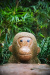 Thumbnail img_8412.jpg 