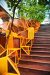 Thumbnail img_8425.jpg 