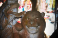 Thumbnail img_8640.jpg 