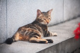 Thumbnail img_8829.jpg 
