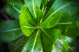 Thumbnail img_9221.jpg 