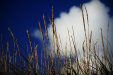 Thumbnail img_5862.jpg 