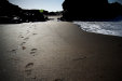 Thumbnail img_6098.jpg 