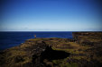 Thumbnail img_6126.jpg 