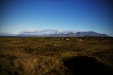 Thumbnail img_6165.jpg 