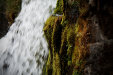Thumbnail img_6550.jpg 